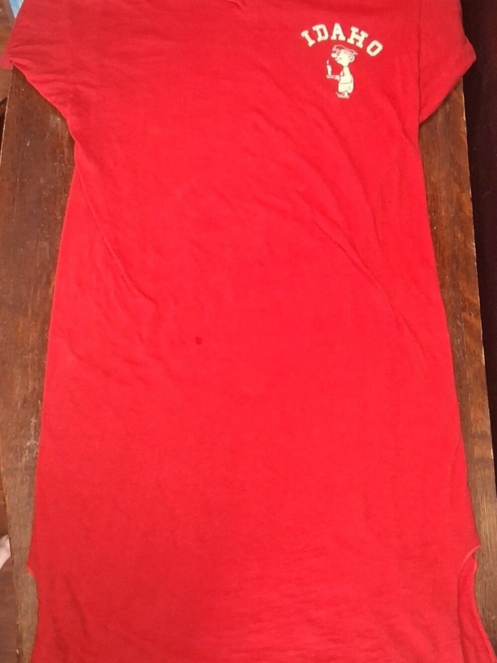 True Vintage 1950s Champion Running Man Idaho Flocked Sleep Shirt Medium